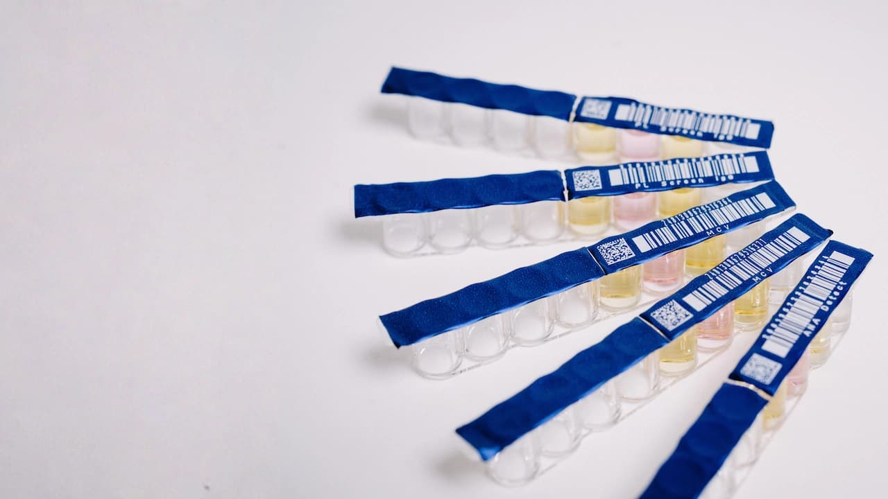 Alegria 2 strips